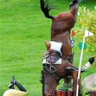 Doing It Wrong Horse