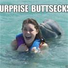 Dolphin Surprise