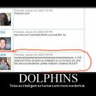 Dolphins