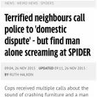 Domestic Dispute
