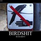 Dont Catch It