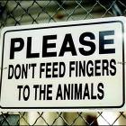 Dont Feed The Animals