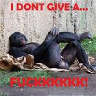 Dont Give A Fuuuuuuu