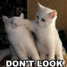 Dont Look