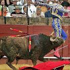 Dont Mess With Bull