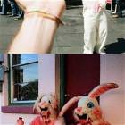 Dont Piss Off Bunnies