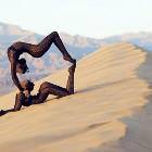 Dont See This Every Day