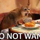 Dont Want