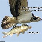 Dont Worry