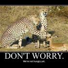 Dont Worry
