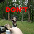 Dont