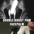 Double Facepalm