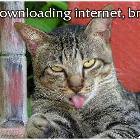 Downloading Cat