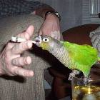 Drink And A Smoke