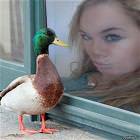 Duck Faces Picdump 12