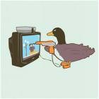 Duck Hunt