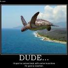 Dude