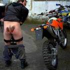 Dumb Ass