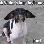 Durf