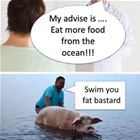 Eat More Ocean Food