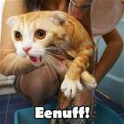 Eenuff