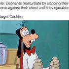 Elephants
