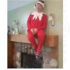 Elf On A Shelf For Hire
