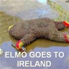 Elmo