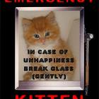 Emergency Kitten