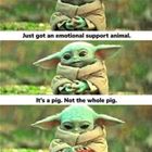 Emotional Support