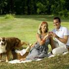 Enjoy Your Picnic