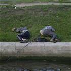 Enjoying Fishing