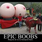 Epic Boobs