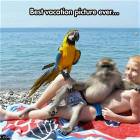 Epic Vacation Picture