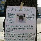 Eric The Dog