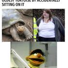 Ernie Is Not Happy