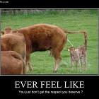 Ever Feel Like