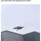 Ever See The Opposite