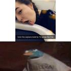 Every Day We Stray Further