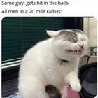 Every Guy