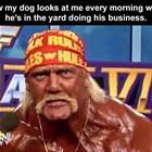 Every Morning