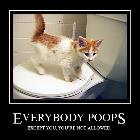 Everybody Poops Cat