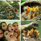 Everyone Wants To Be Fed