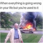 Everything Is Wrong