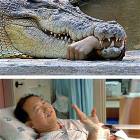 Evil Gator