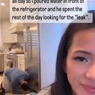 Evil Wife