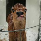 Evilmilk Picture Overflow 84