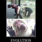 Evolution