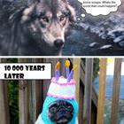 Evolution