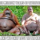 Evolution